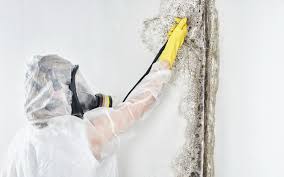 Best Forensic Mold Investigation  in Redstone Arsen, AL